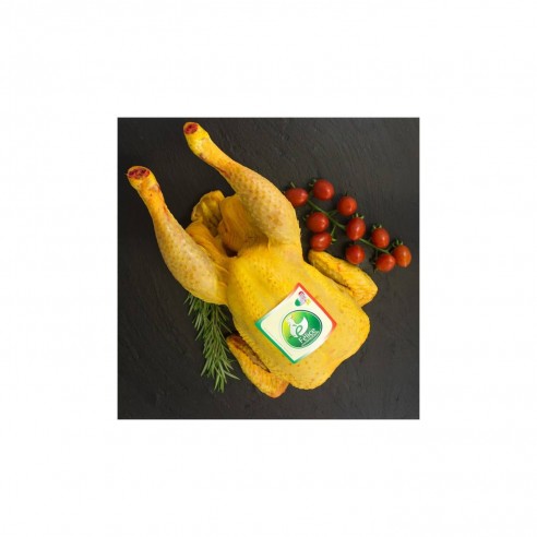 Pollo felice 2.5Kg